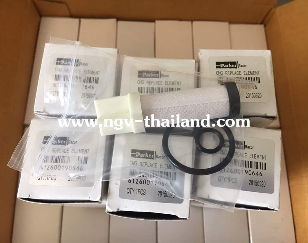 CNG Filter high pressure