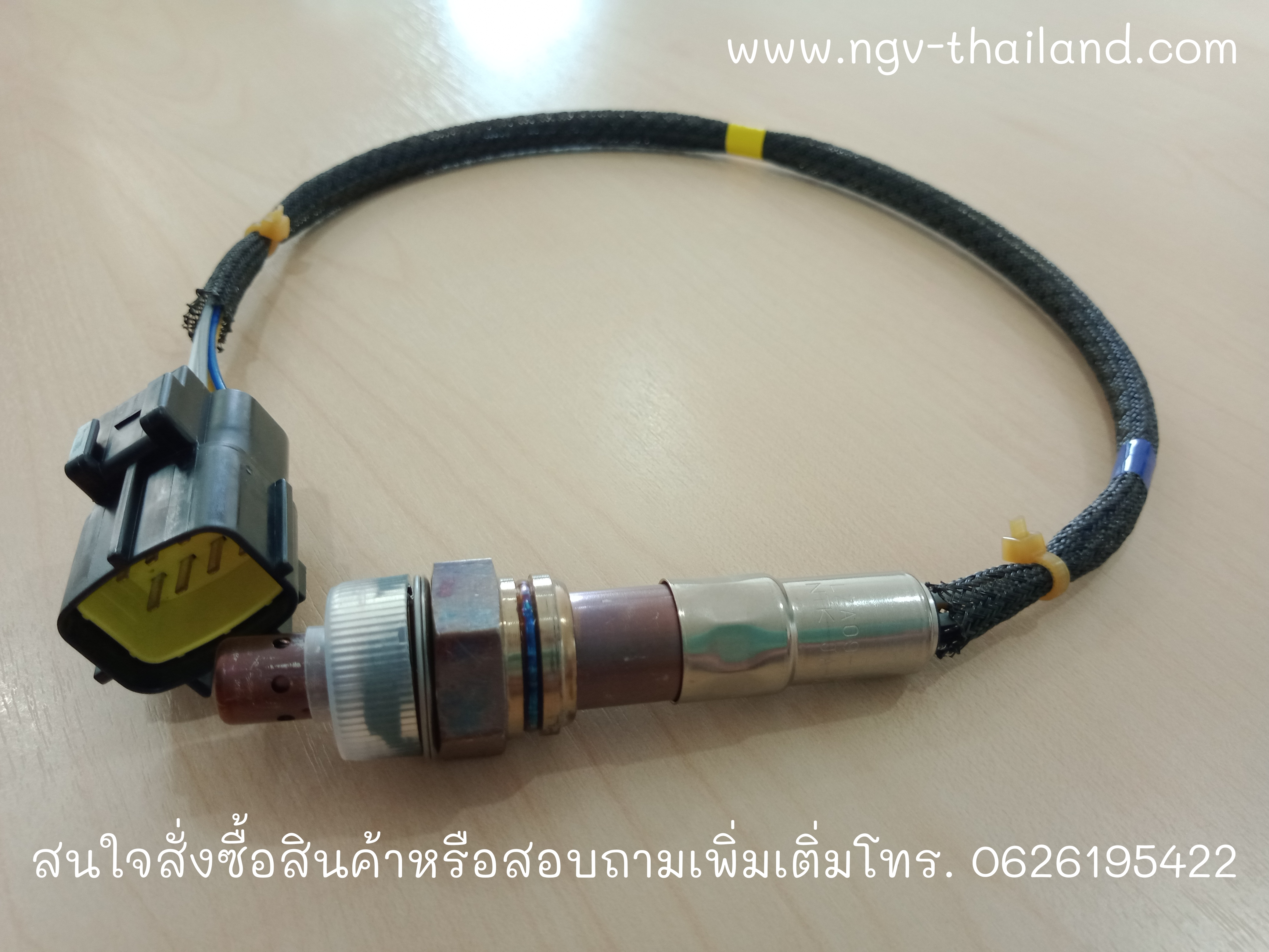 Oxygen sensor LZA09