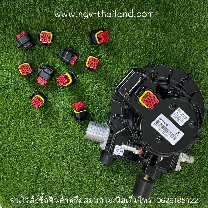 Plug EPR
