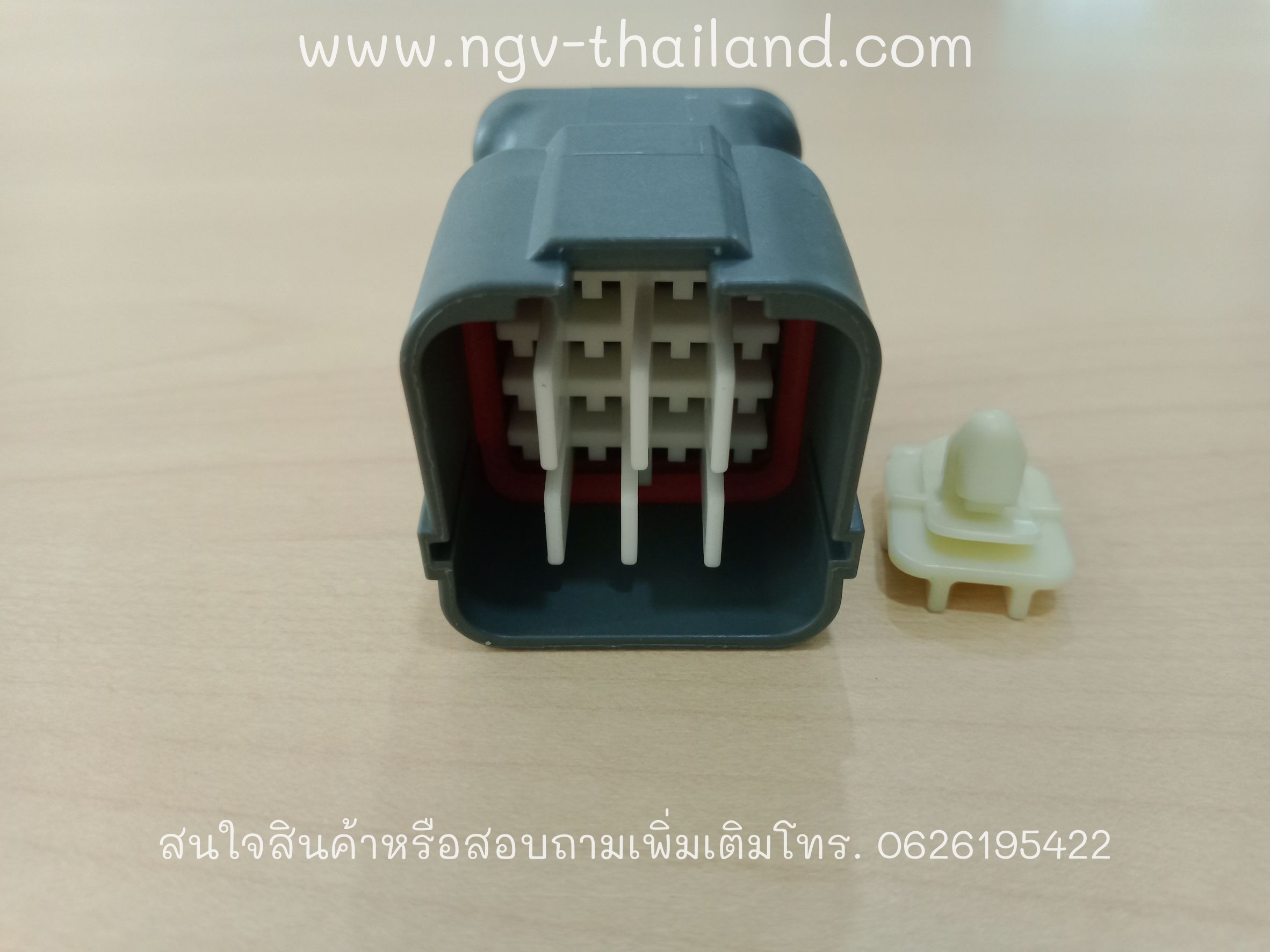 Plug injector