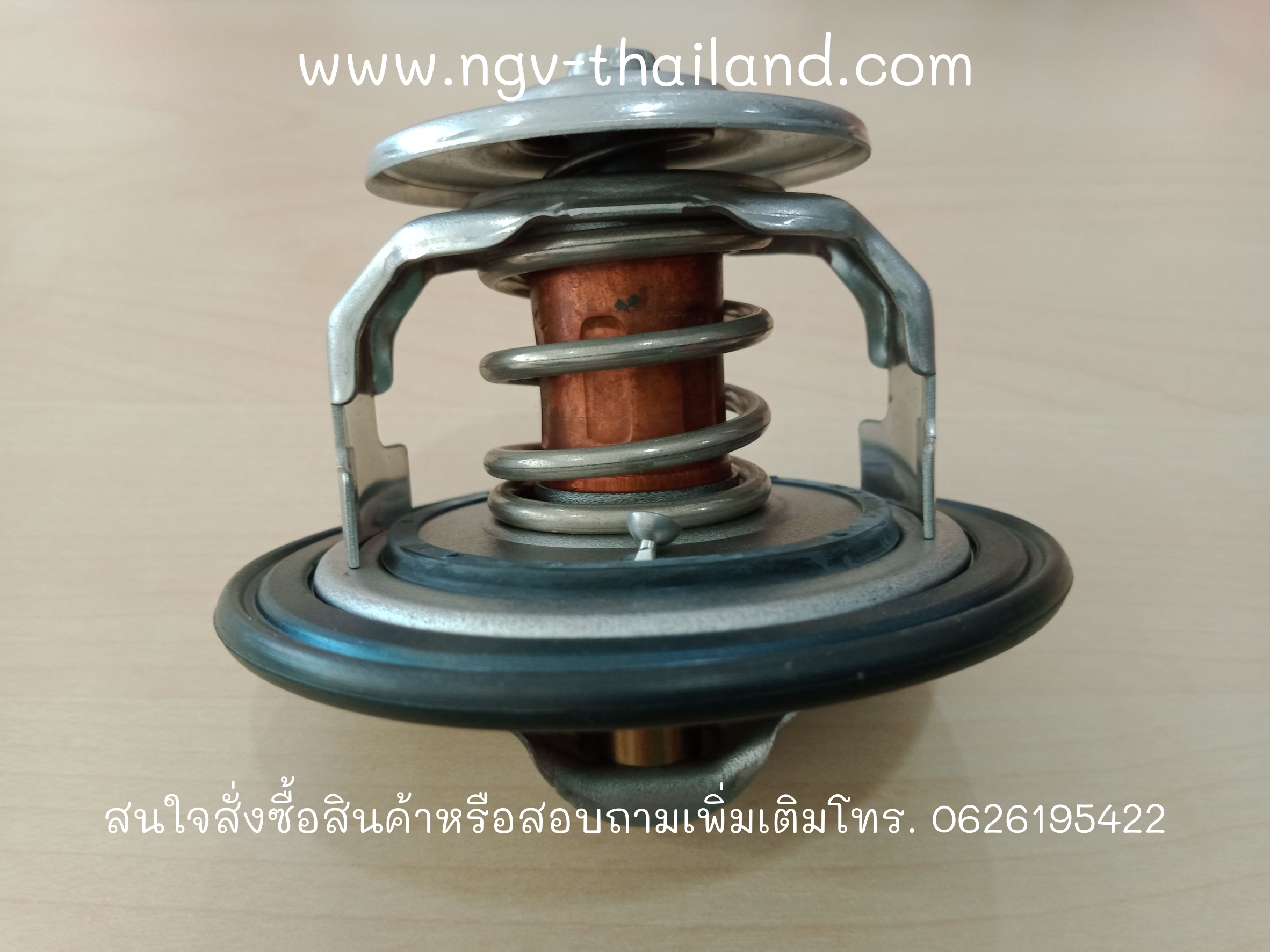 Repair Kit Thermostat P11